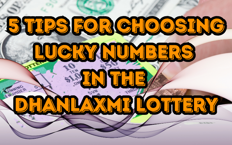 dhanlaxmi lottery